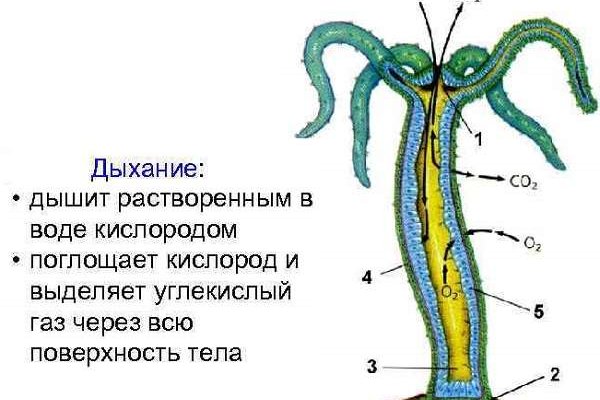 Кракен официальный сайт