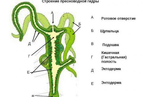 Kraken сайт вход