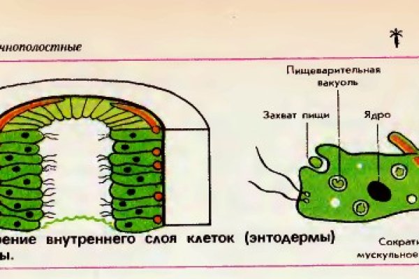 Кракен 12 сайт